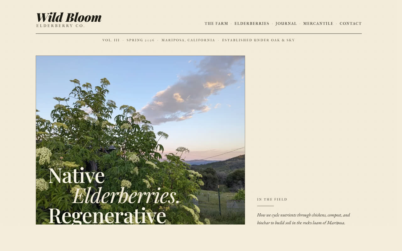 Wild Bloom Elderberry Co. homepage